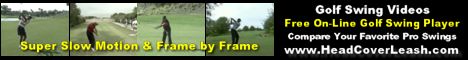 Free Golf Swing Video Player By HeadCoverLeash.com